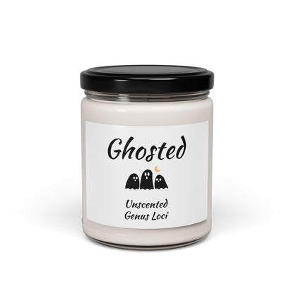 Ghosted - Unscented Soy Candle
